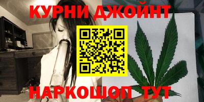 гашик Новокубанск