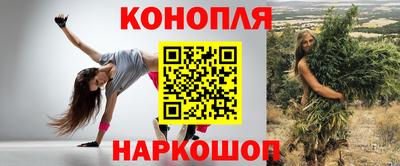 гашик Новокубанск